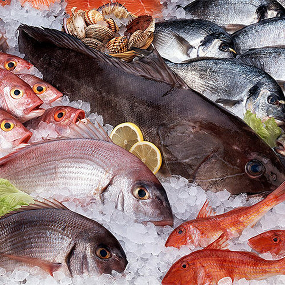 Ozone in Seafood Processing - Ozone Solutions