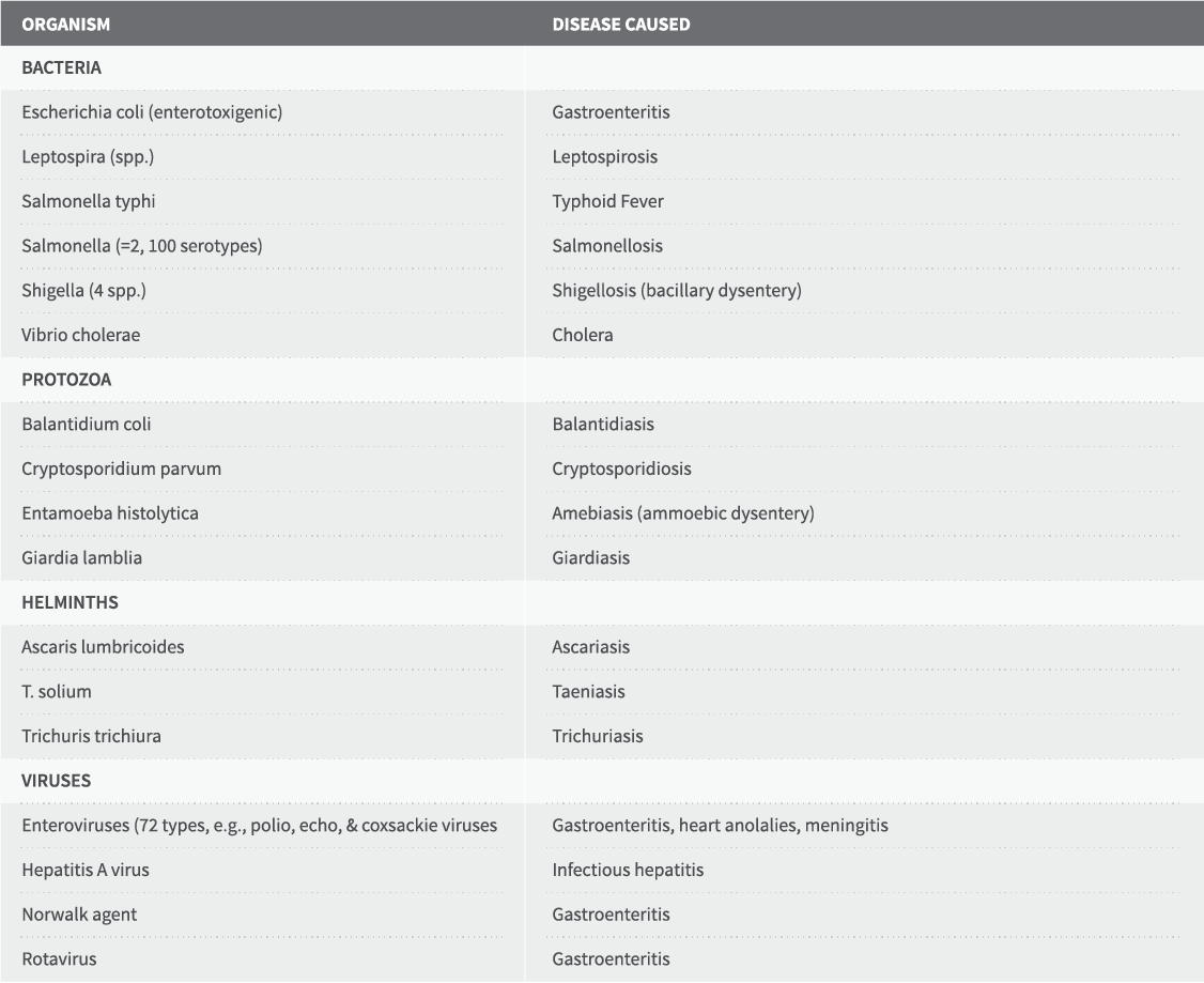 Ozone vs. Chlorine Ozone Solutions