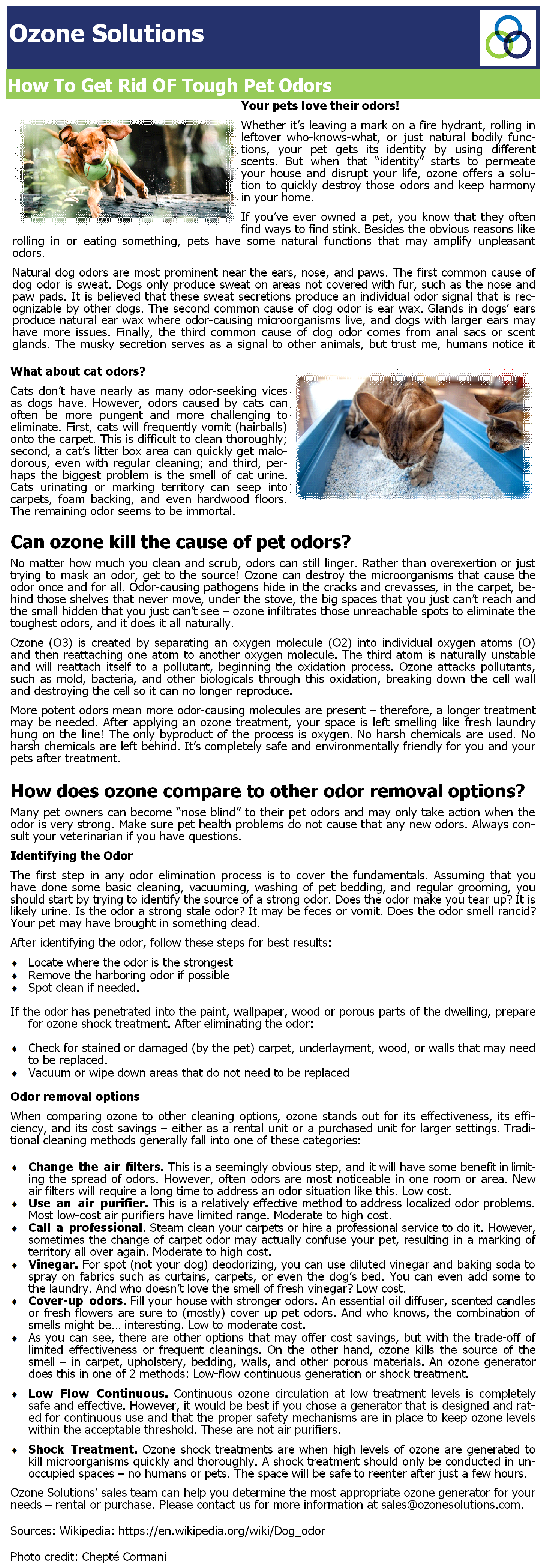 How To Get Rid Of Tough Pet Odors Ozone Solutions